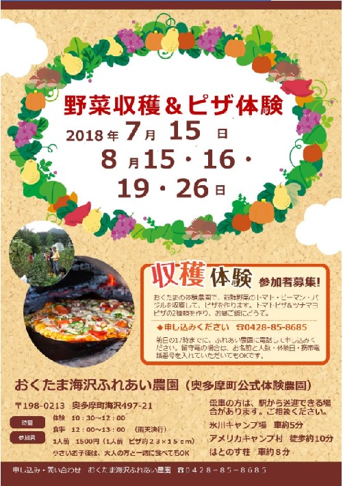 YasaiPizza180815~
