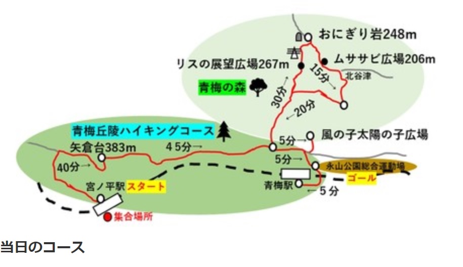 dokuzujyunro200125