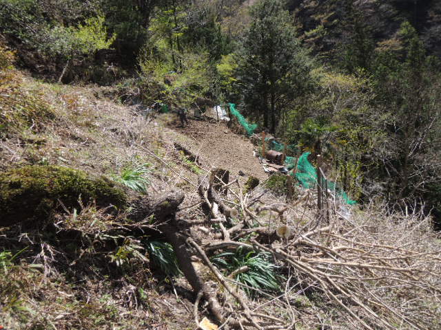 kanbatutyokugo