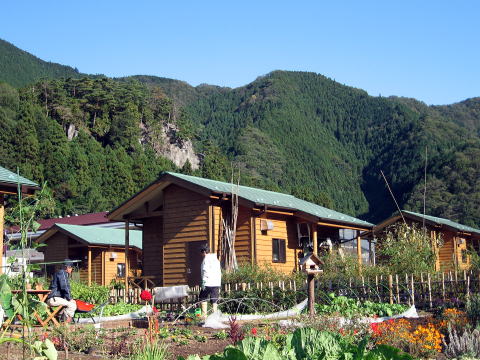 okutamakg