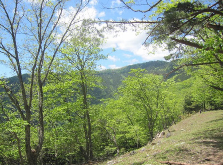 自然観察登山