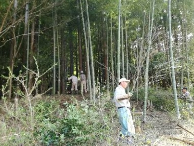 tikurinteireokutama