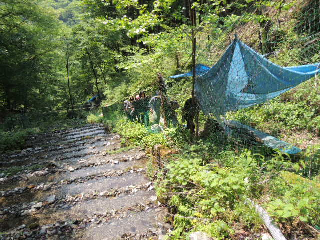 kanbatutyokugo.
